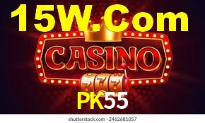Programa VIP PK55