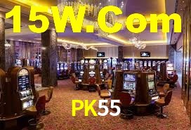 Premium Interface PK55